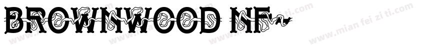 Brownwood NF字体转换